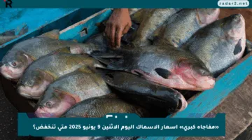 «مفاجأة كبرى» أسعار الأسماك اليوم الإثنين 9 يونيو 2025 متى تنخفض؟